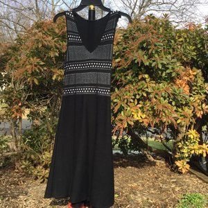 BCBG  V Neck A-Line Knit Long Dress